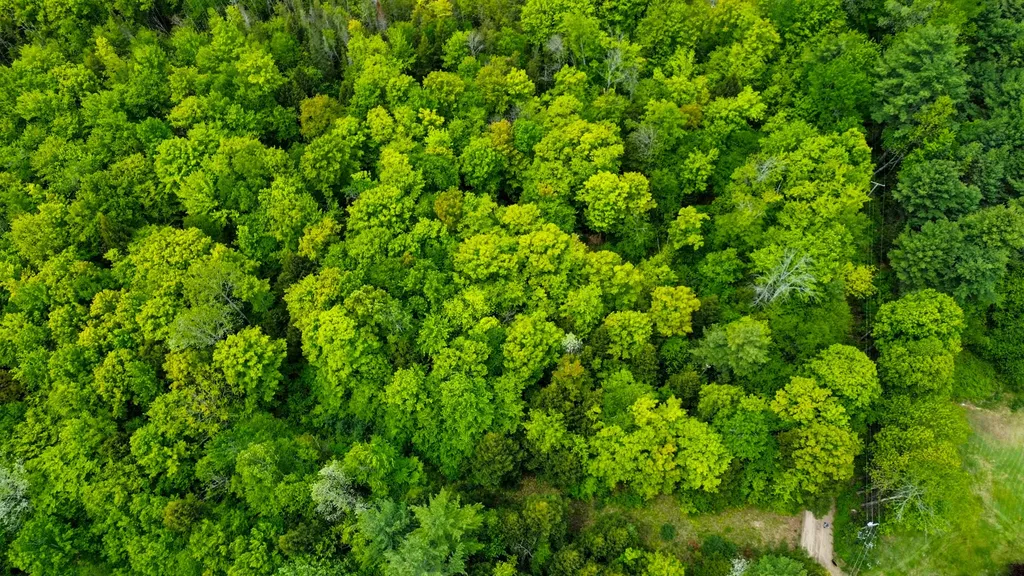 Lot 16d Old Towle Road Dixfield ME 04224