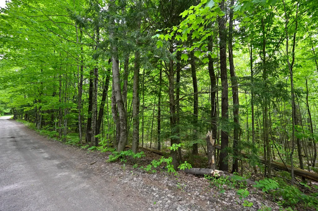Lot 16d Old Towle Road Dixfield ME 04224