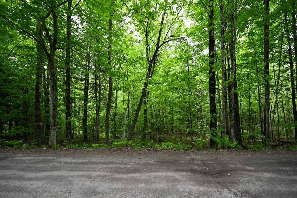 Lot 16d Old Towle Road Dixfield ME 04224