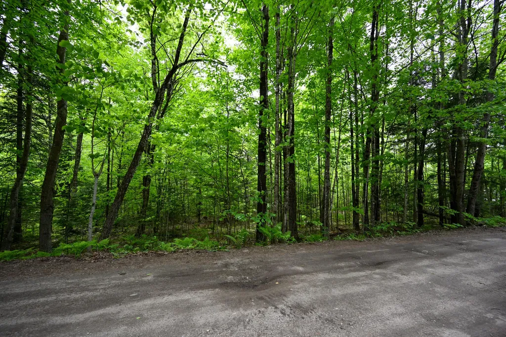 Lot 16d Old Towle Road Dixfield ME 04224