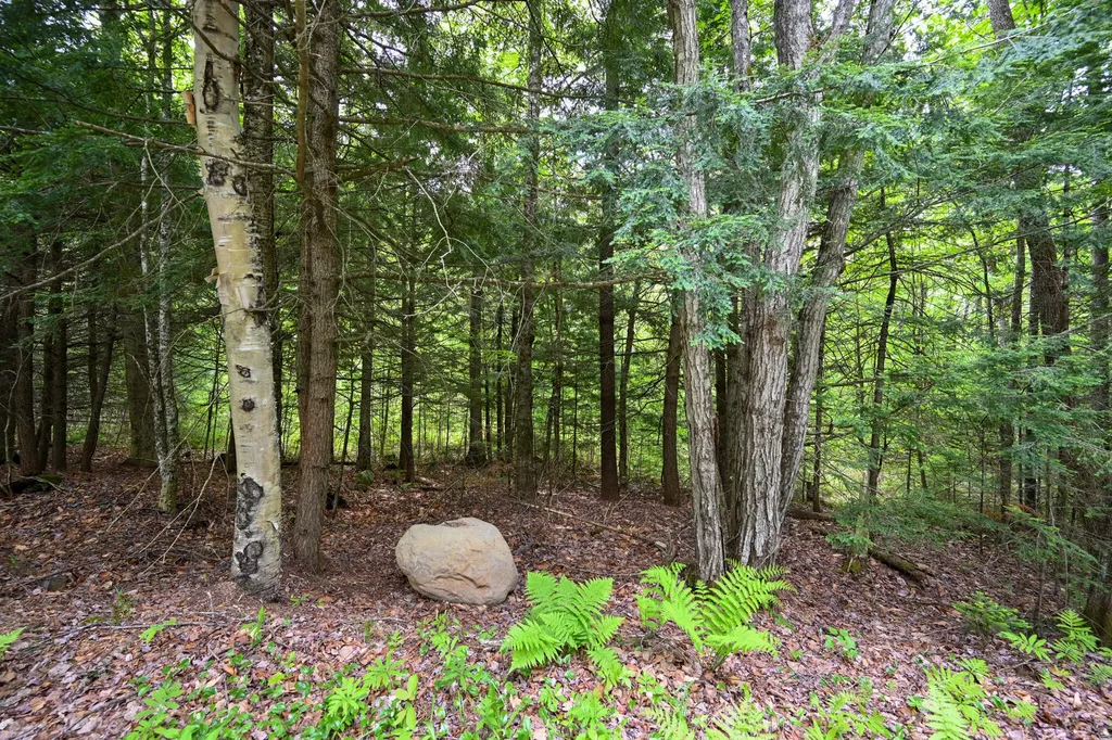 Lot 16d Old Towle Road Dixfield ME 04224