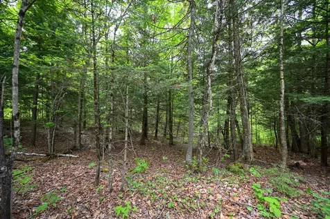 Lot 16d Old Towle Road Dixfield ME 04224