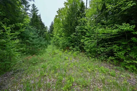 Lot 16d Old Towle Road Dixfield ME 04224