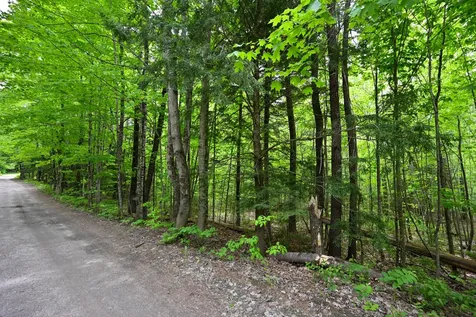 Lot 16d Old Towle Road Dixfield ME 04224
