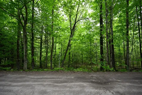 Lot 16d Old Towle Road Dixfield ME 04224