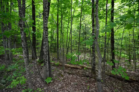 Lot 16d Old Towle Road Dixfield ME 04224