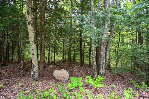 Lot 16d Old Towle Road Dixfield ME 04224
