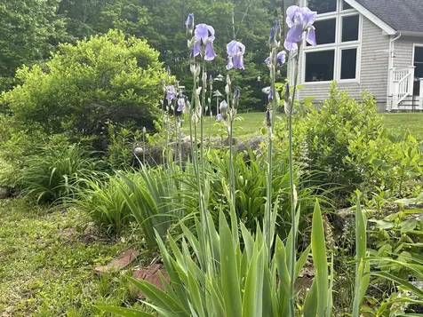 283 Davis Road Lyman ME 04002