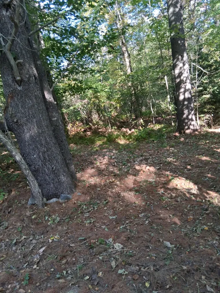 Lot 27-2.1 Jaquith Pond Road Brownville ME 04414