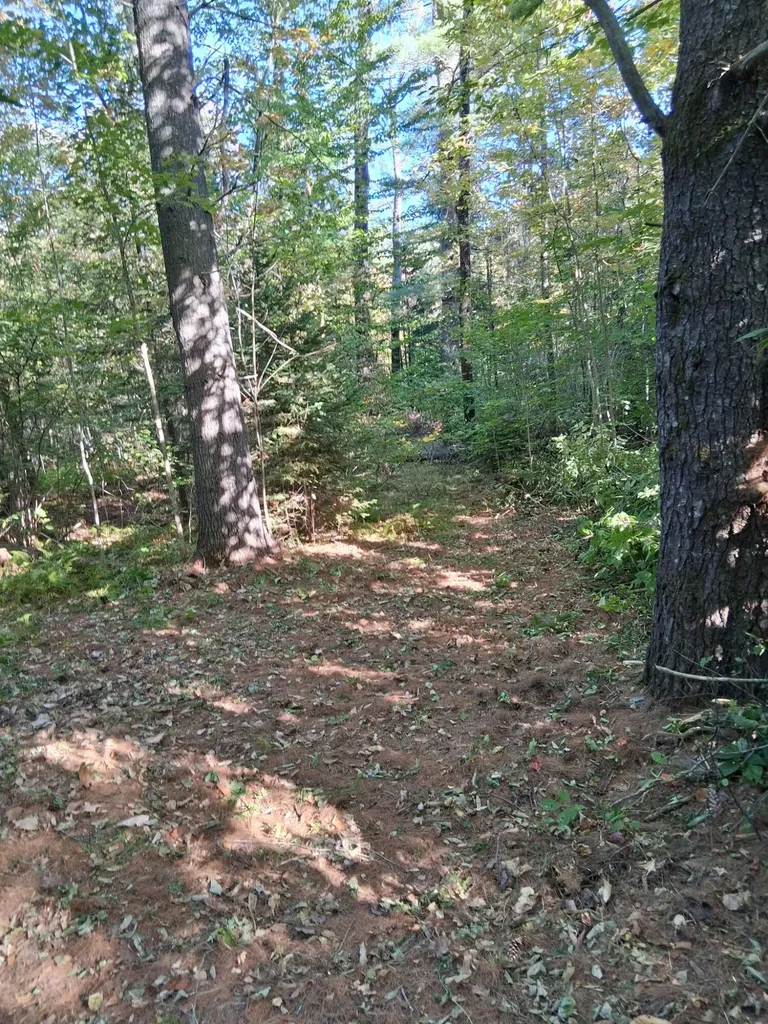 Lot 27-2.1 Jaquith Pond Road Brownville ME 04414