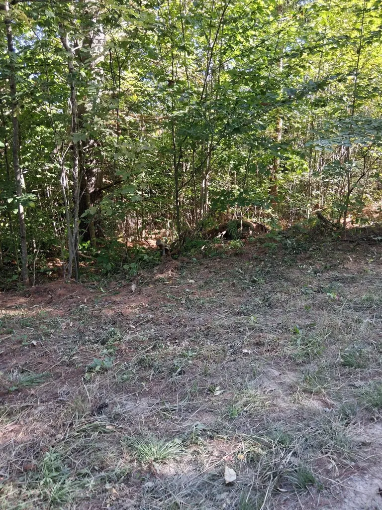 Lot 27-2.1 Jaquith Pond Road Brownville ME 04414