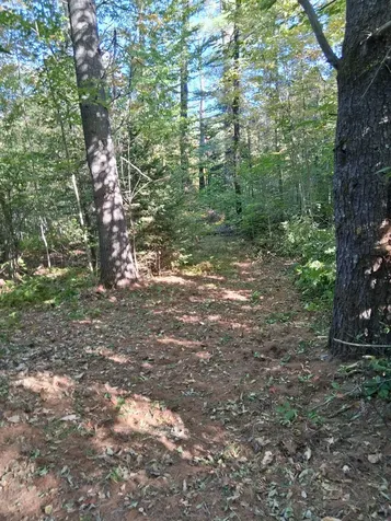Lot 27-2.1 Jaquith Pond Road Brownville ME 04414