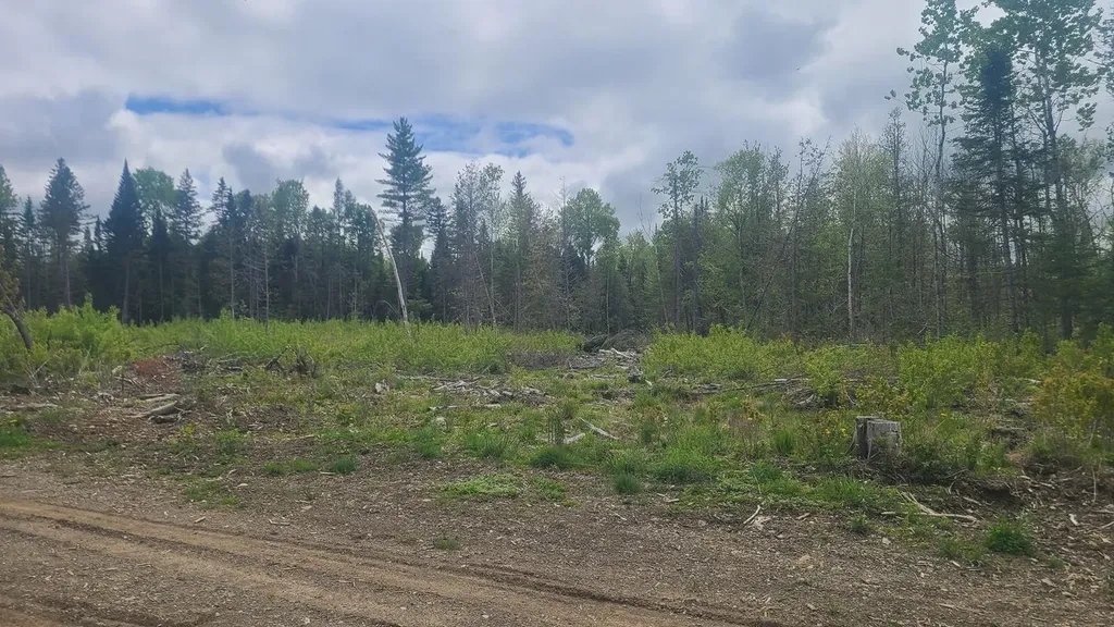 005-003-C Grendell Road Chapman ME 04757