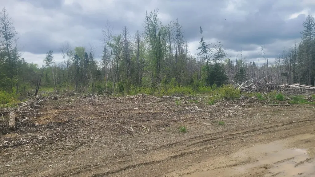 005-003-C Grendell Road Chapman ME 04757
