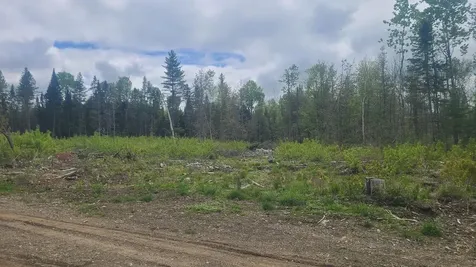 005-003-C Grendell Road Chapman ME 04757