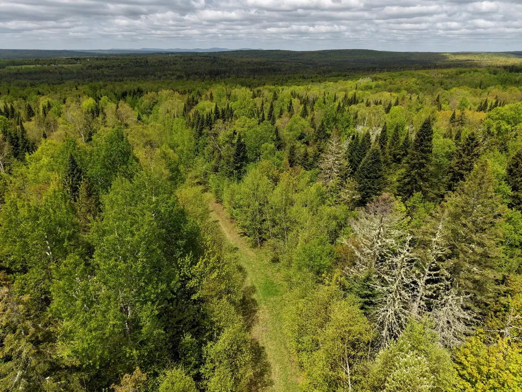 96 Erickson Road Perham ME 04766