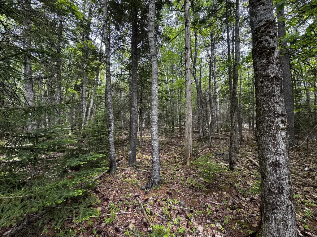 Lot 0 Hadley Point Road Bar Harbor ME 04609