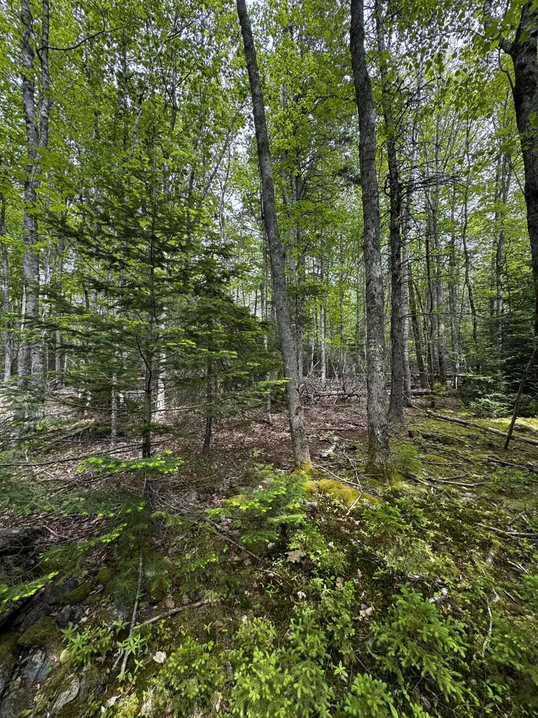 Lot 0 Hadley Point Road Bar Harbor ME 04609