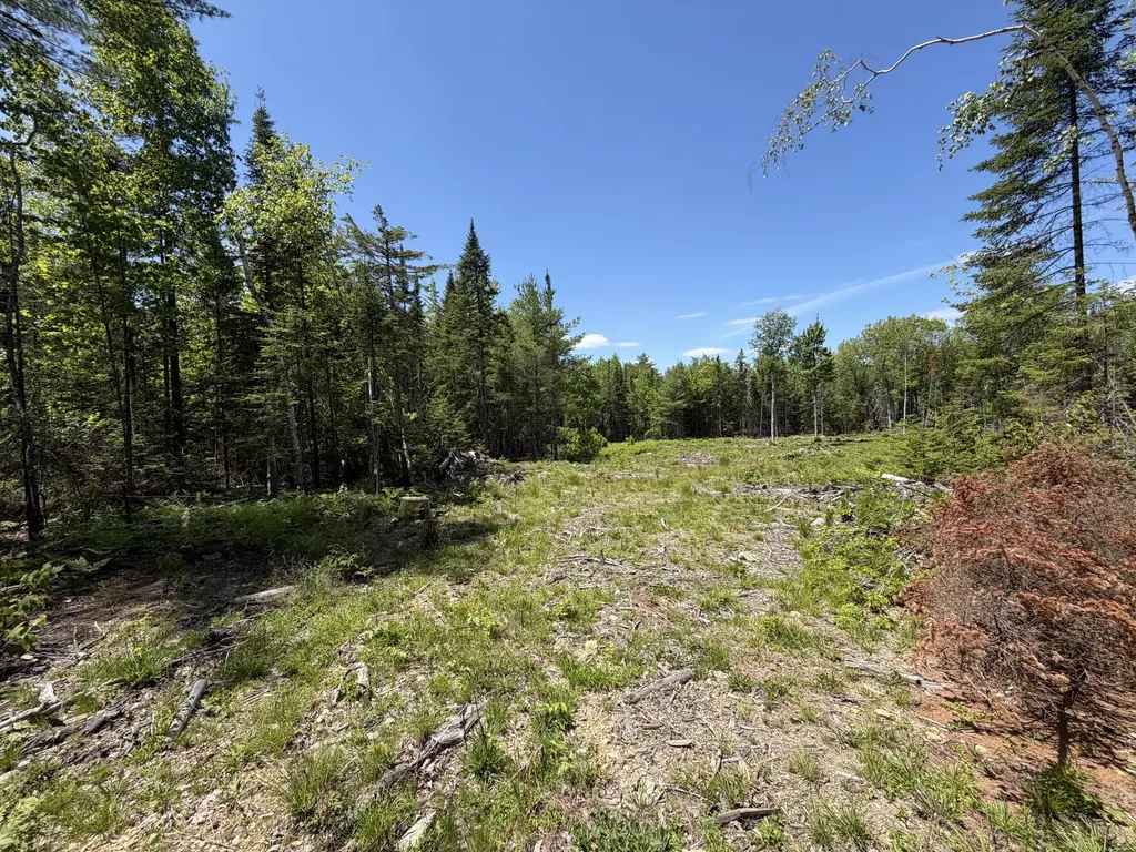 0 Merritt Drive Orono ME 04473