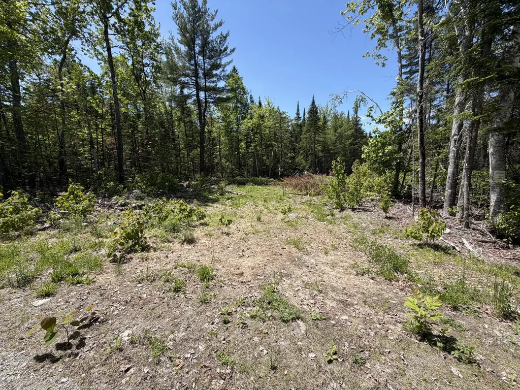 0 Merritt Drive Orono ME 04473