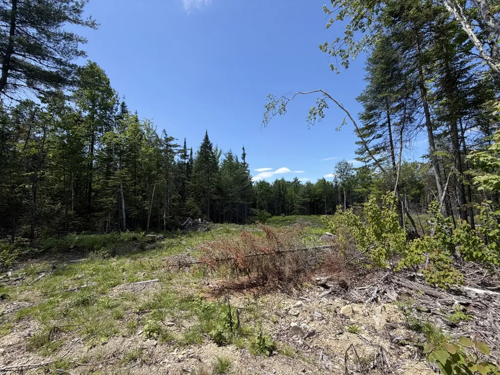 0 Merritt Drive Orono ME 04473
