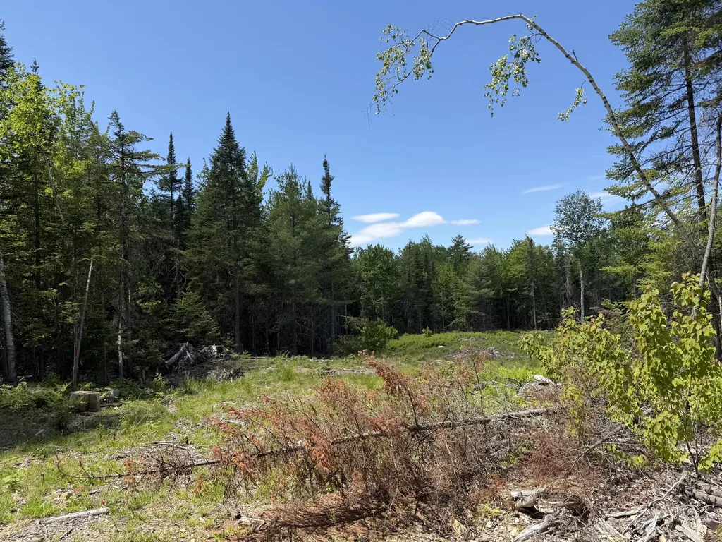 0 Merritt Drive Orono ME 04473