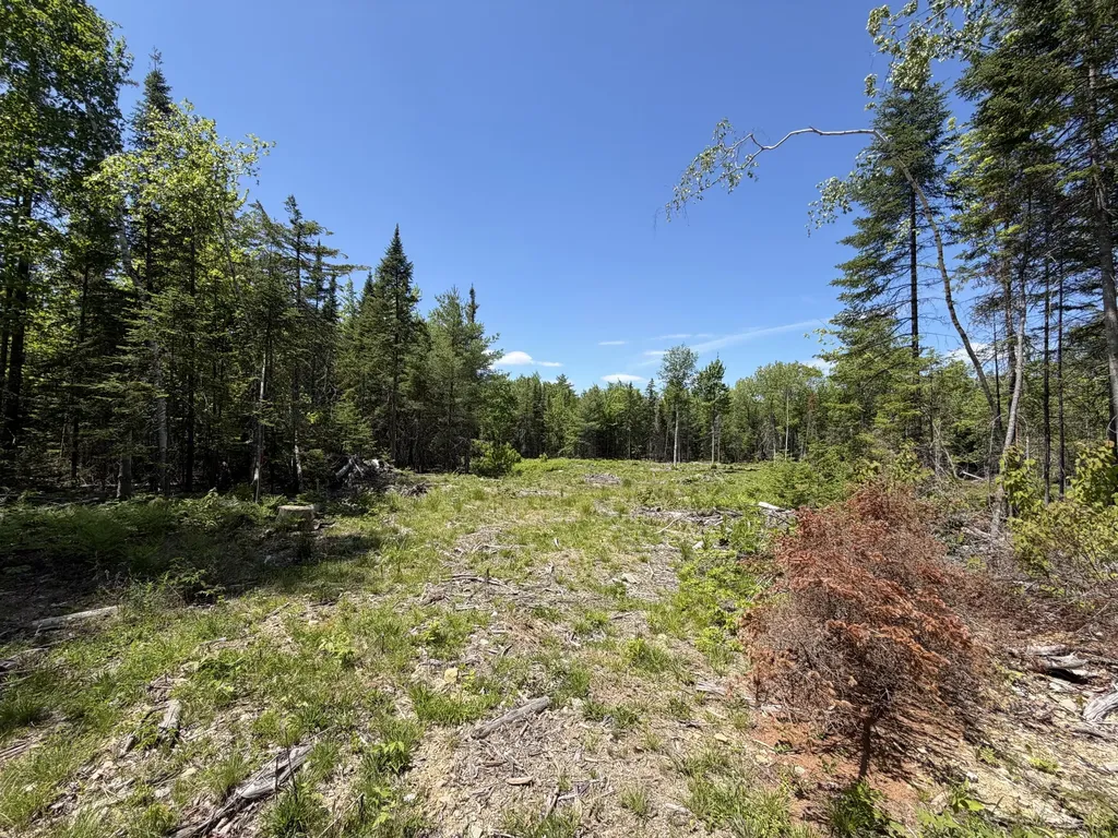 0 Merritt Drive Orono ME 04473