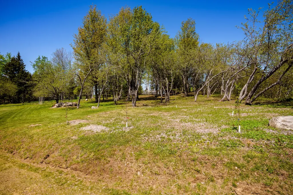 260 Thistle Street Upton ME 04261