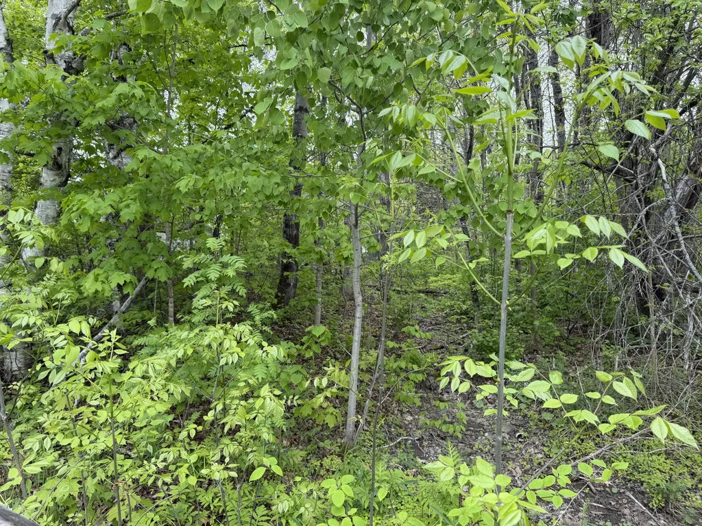 63 Lakeshore Drive Presque Isle ME 04769