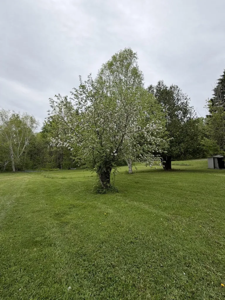63 Lakeshore Drive Presque Isle ME 04769