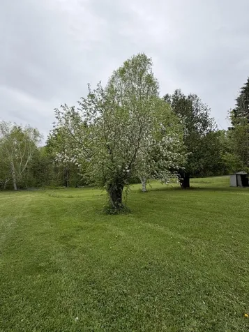 63 Lakeshore Drive Presque Isle ME 04769