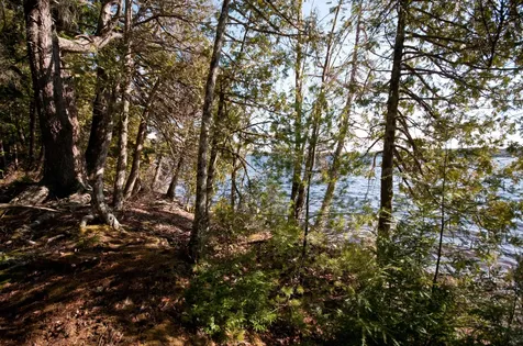 98 Beavers Road Sullivan ME 04664