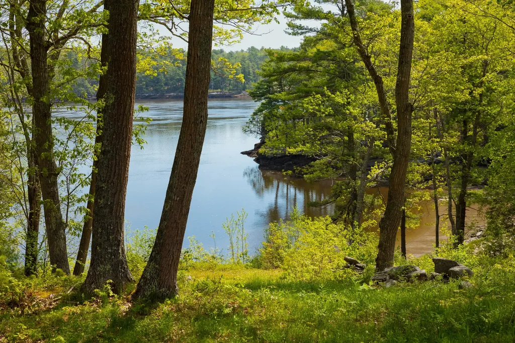 213 Fiddlers Reach Road Phippsburg ME 04562