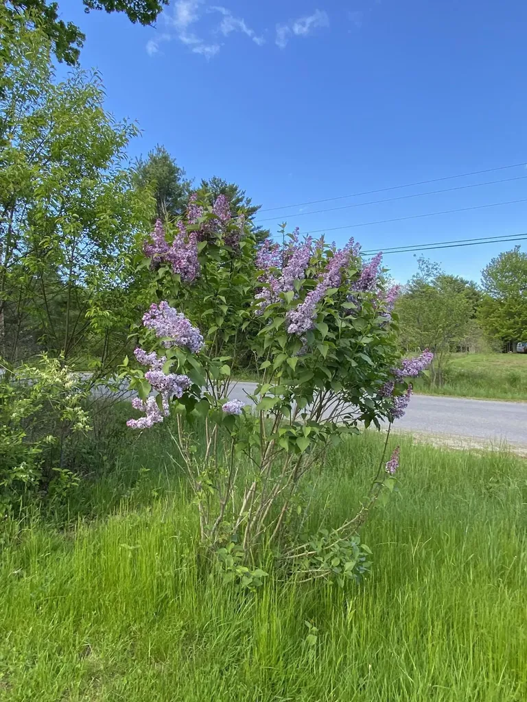 140 Fahi Pond Road Anson ME 04958