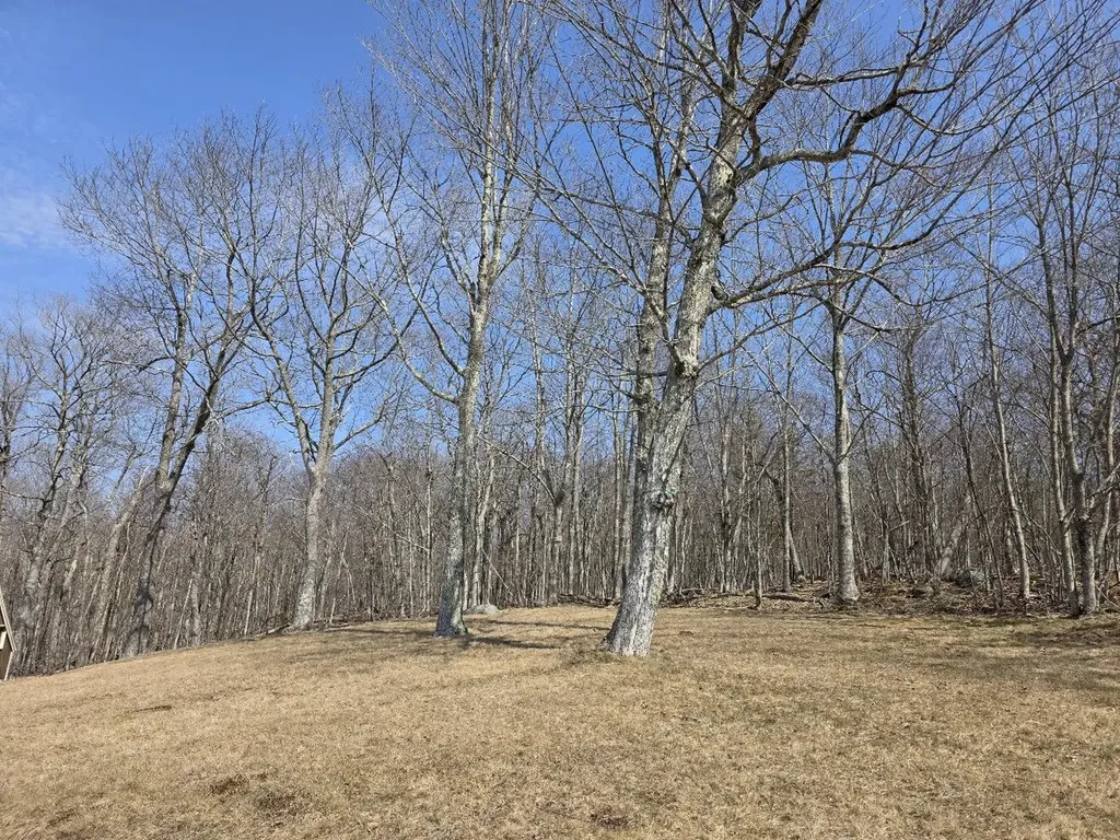 40 Skyline Drive Holden ME 04429