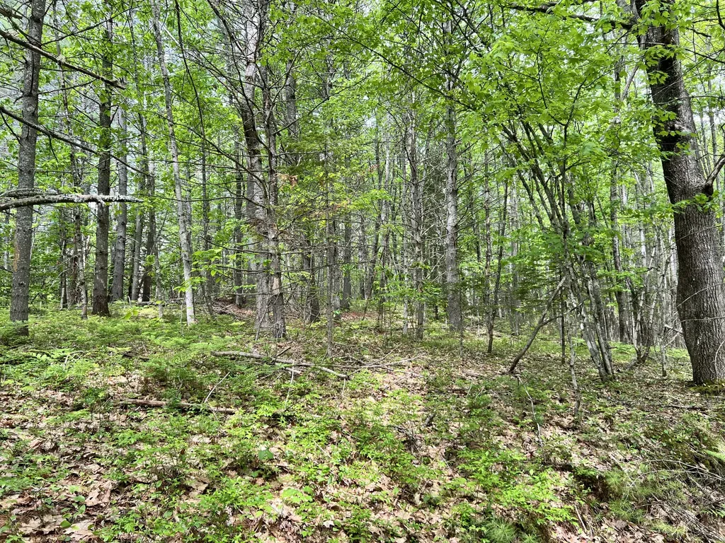 33 Serenity Lane Topsham ME 04086