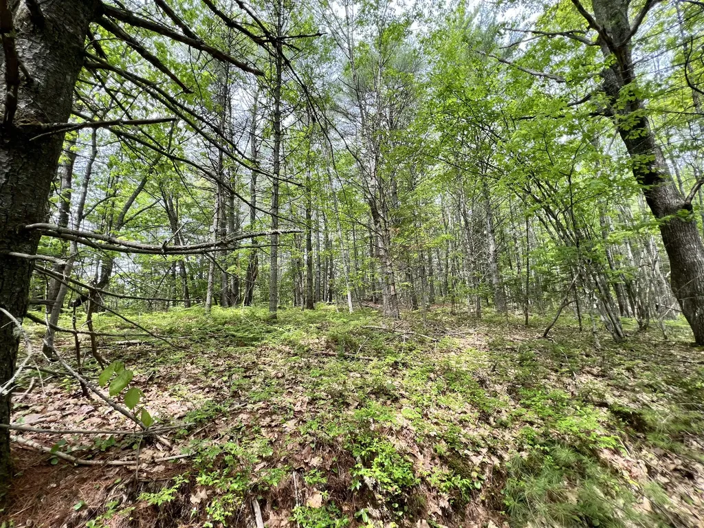33 Serenity Lane Topsham ME 04086