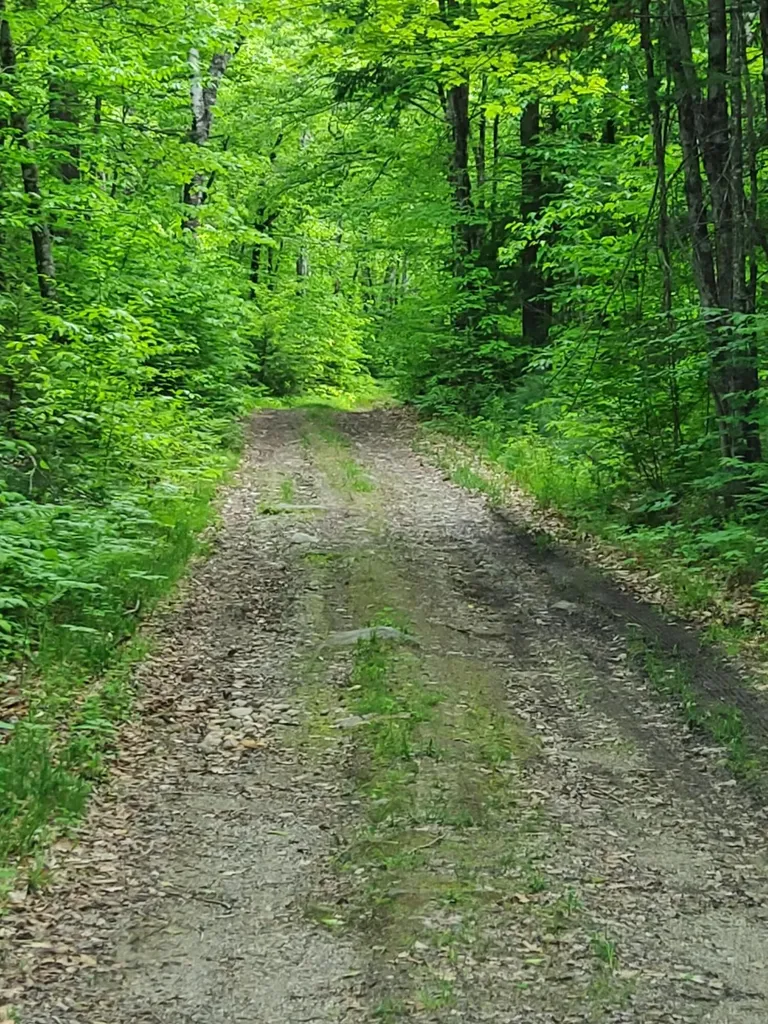 Lot 50 (Map 14) Andover ME 04216