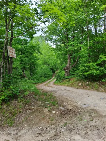 Lot 50 (Map 14) Andover ME 04216