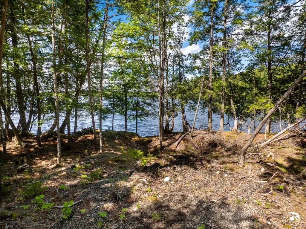 15 Crowe Lane Princeton ME 04668