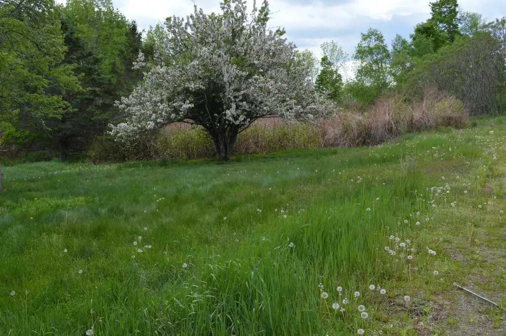 223 Webb Ridge Road Saint Albans ME 04971