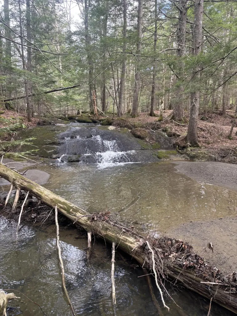 89 Wickett Farm Road Bucksport ME 04416