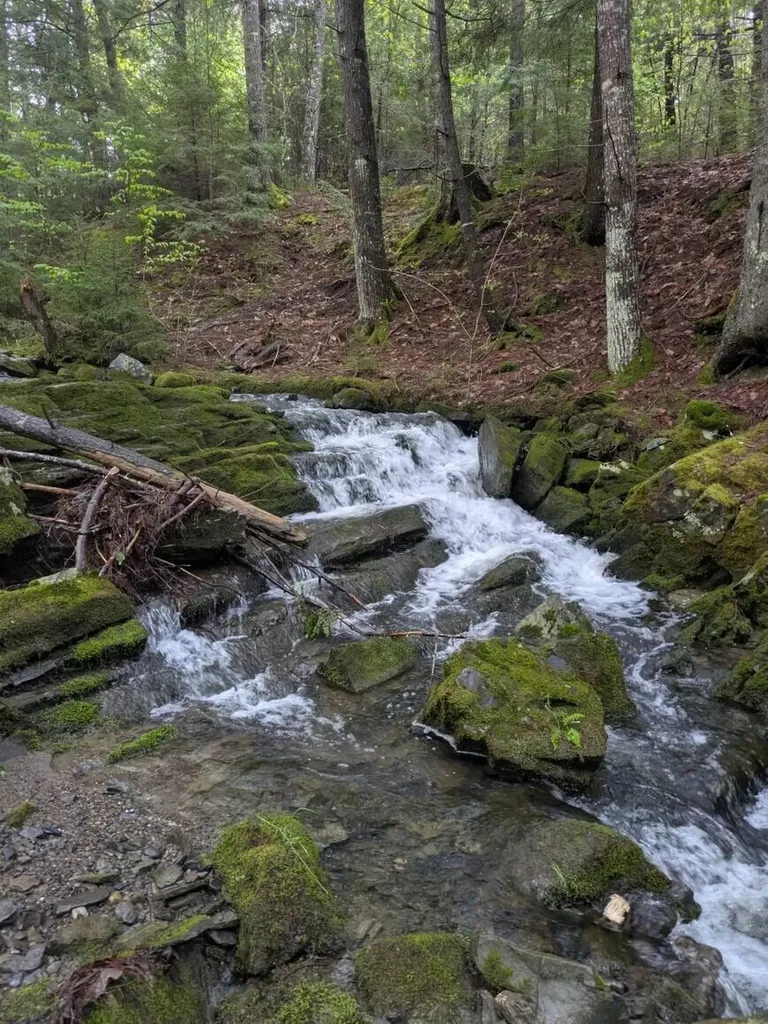 89 Wickett Farm Road Bucksport ME 04416