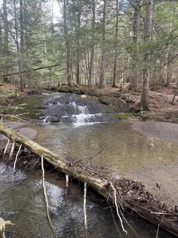 89 Wickett Farm Road Bucksport ME 04416
