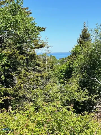 143 Blackhead Trail Monhegan Island Plt ME 04852