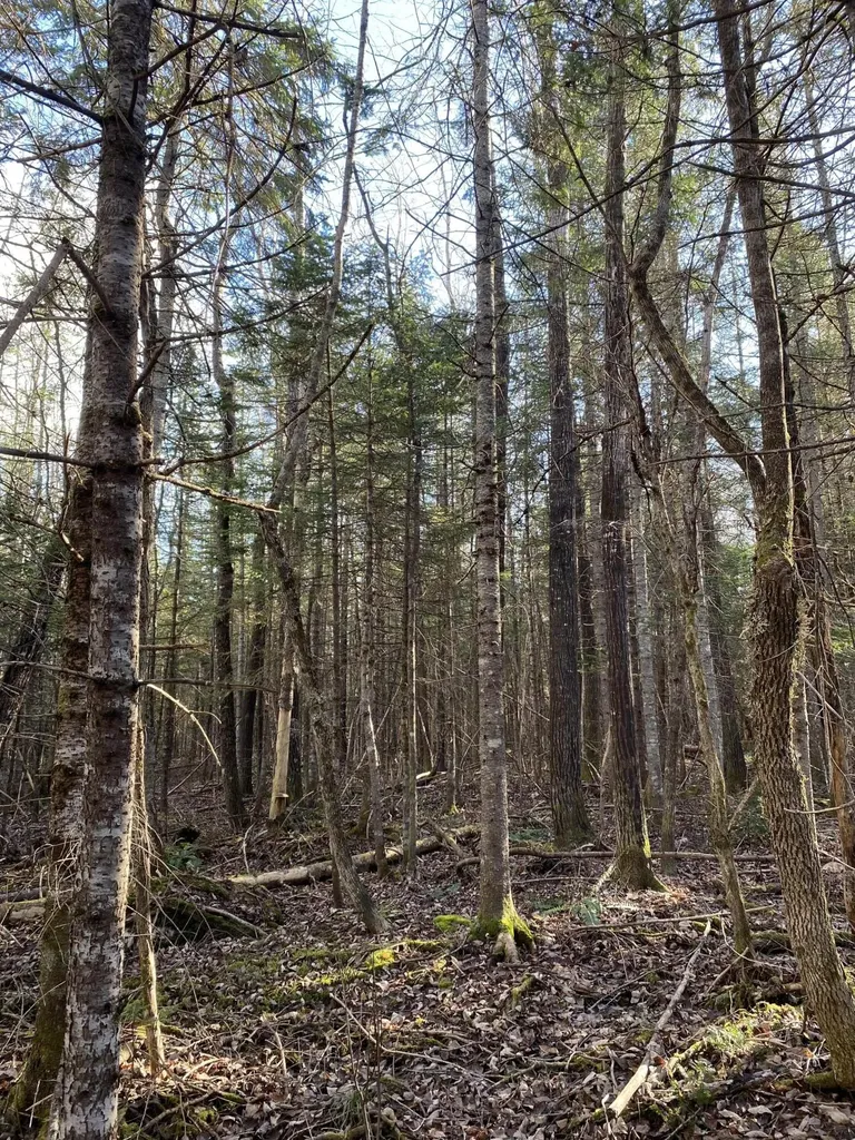 Lot 023 Pleasant Ridge Road Dexter ME 04930