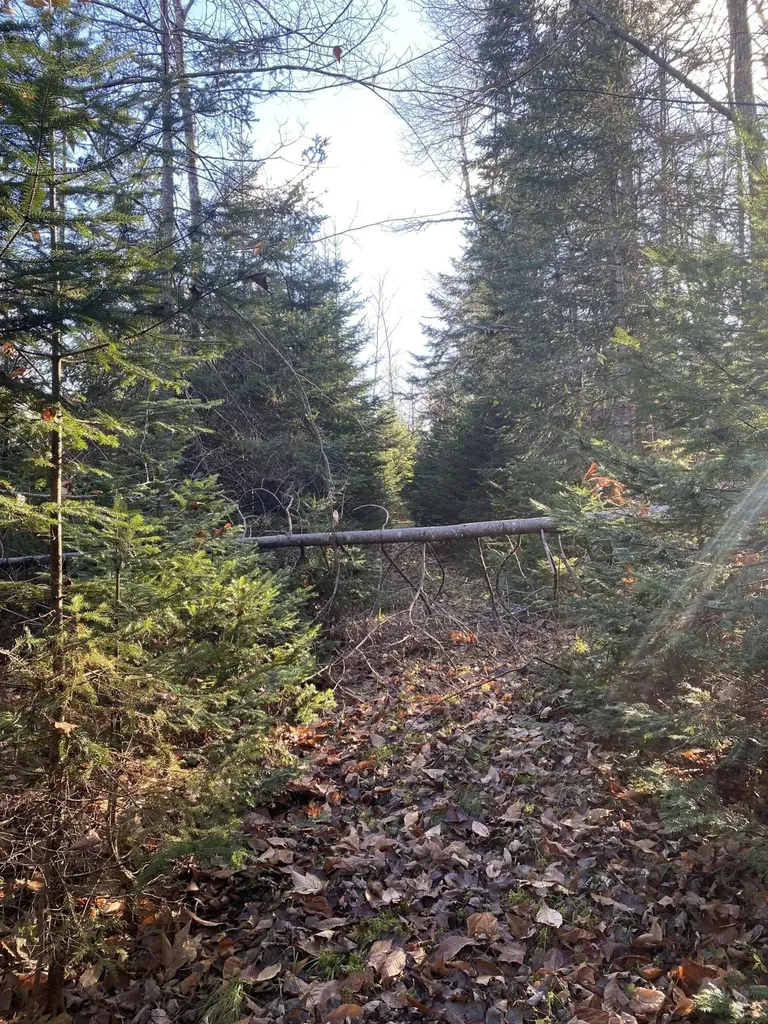 Lot 023 Pleasant Ridge Road Dexter ME 04930