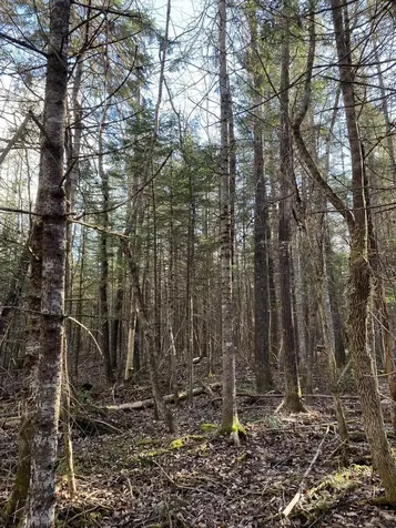 Lot 023 Pleasant Ridge Road Dexter ME 04930