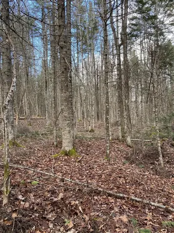 Lot 023 Pleasant Ridge Road Dexter ME 04930