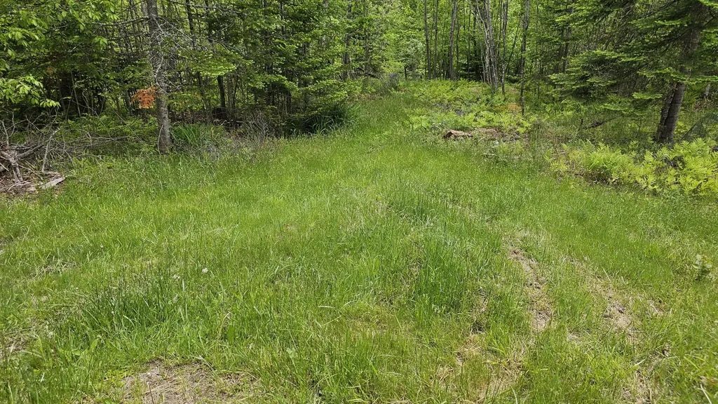 271 Bigelow Road Saint Albans ME 04971